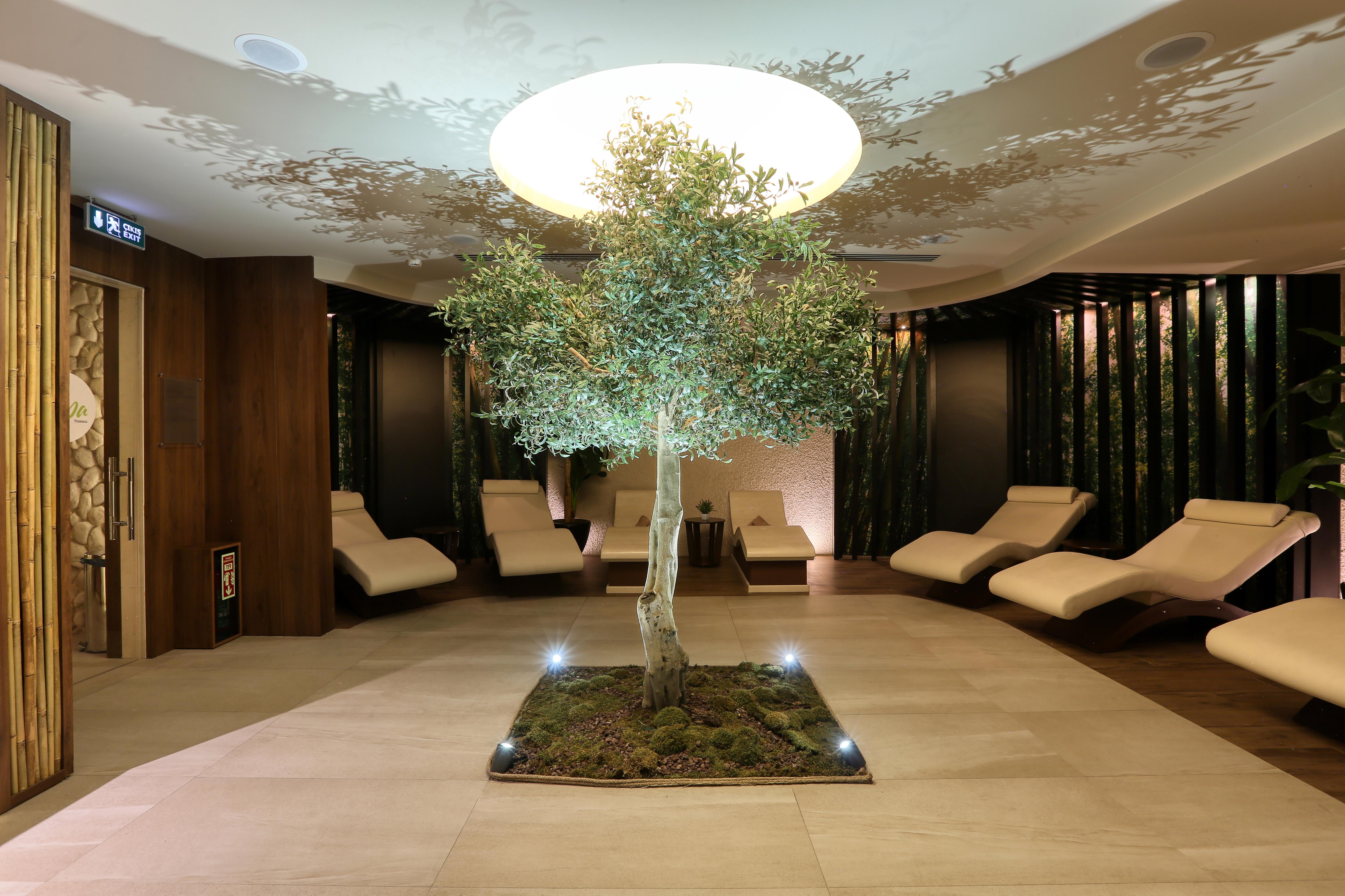 فندق ألميرا بورصة المظهر الخارجي الصورة The spa at The Dorchester